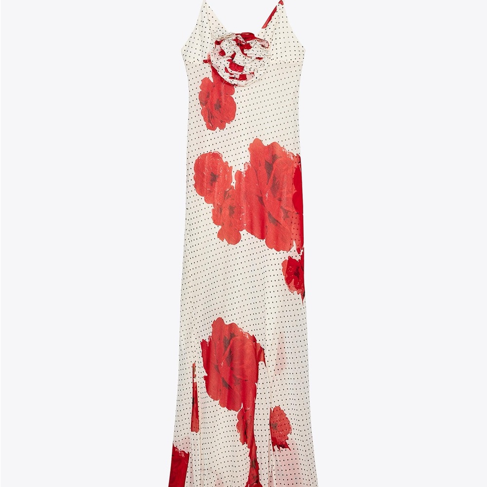 Zara Red Floral Maxi Dress